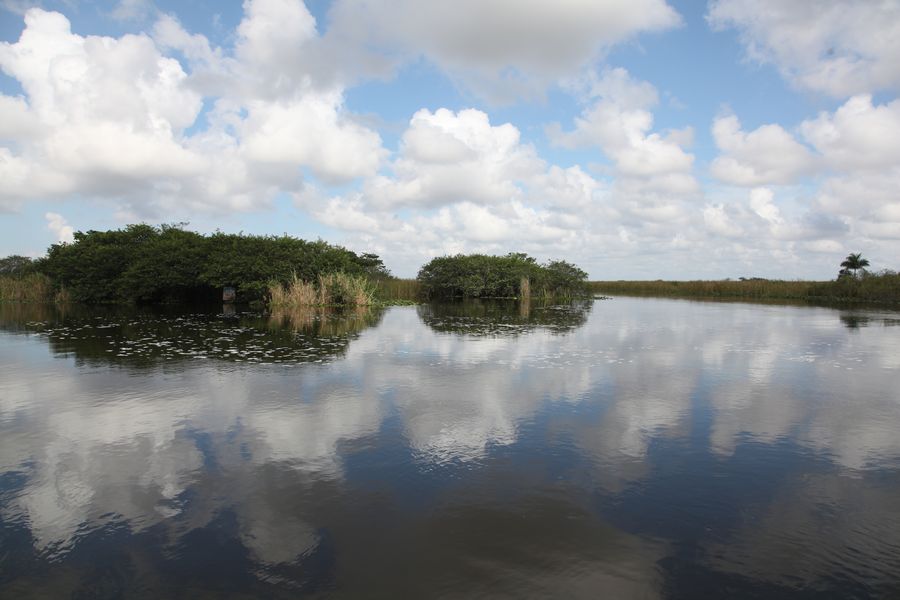 Everglades03
