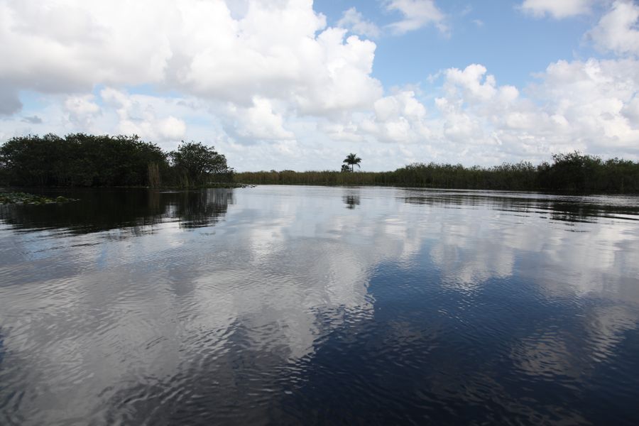 Everglades08